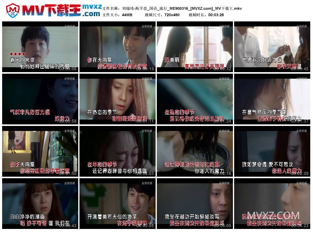 刘瑞琦-海芋恋_国语_流行_ME900316